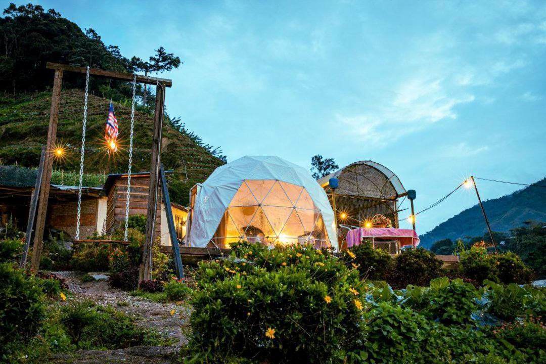 A'Moss Farmstay Cameron Highlands Exterior foto