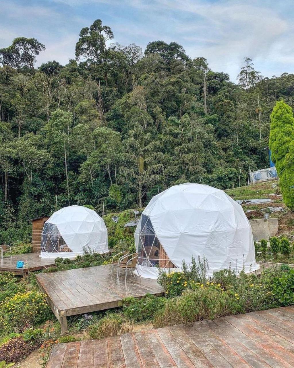 A'Moss Farmstay Cameron Highlands Exterior foto