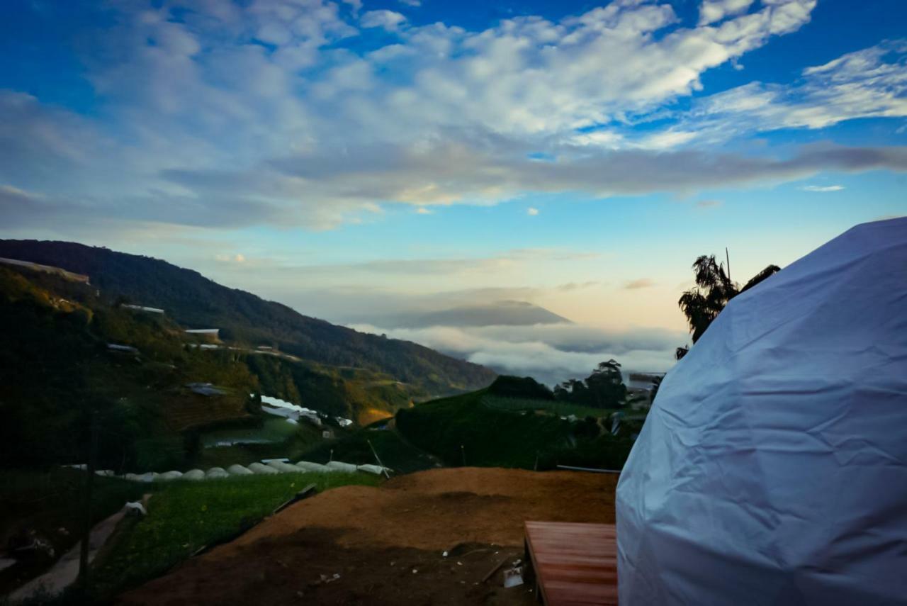 A'Moss Farmstay Cameron Highlands Exterior foto